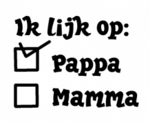 Strijkapplicatie ik lijk op papa